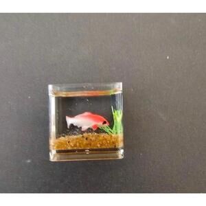 Miniature fish